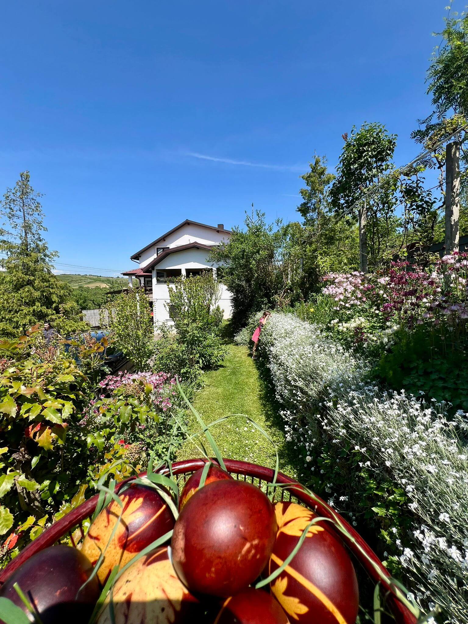 WhatsApp Image 2025-11-13 at 12.38.53 (6)