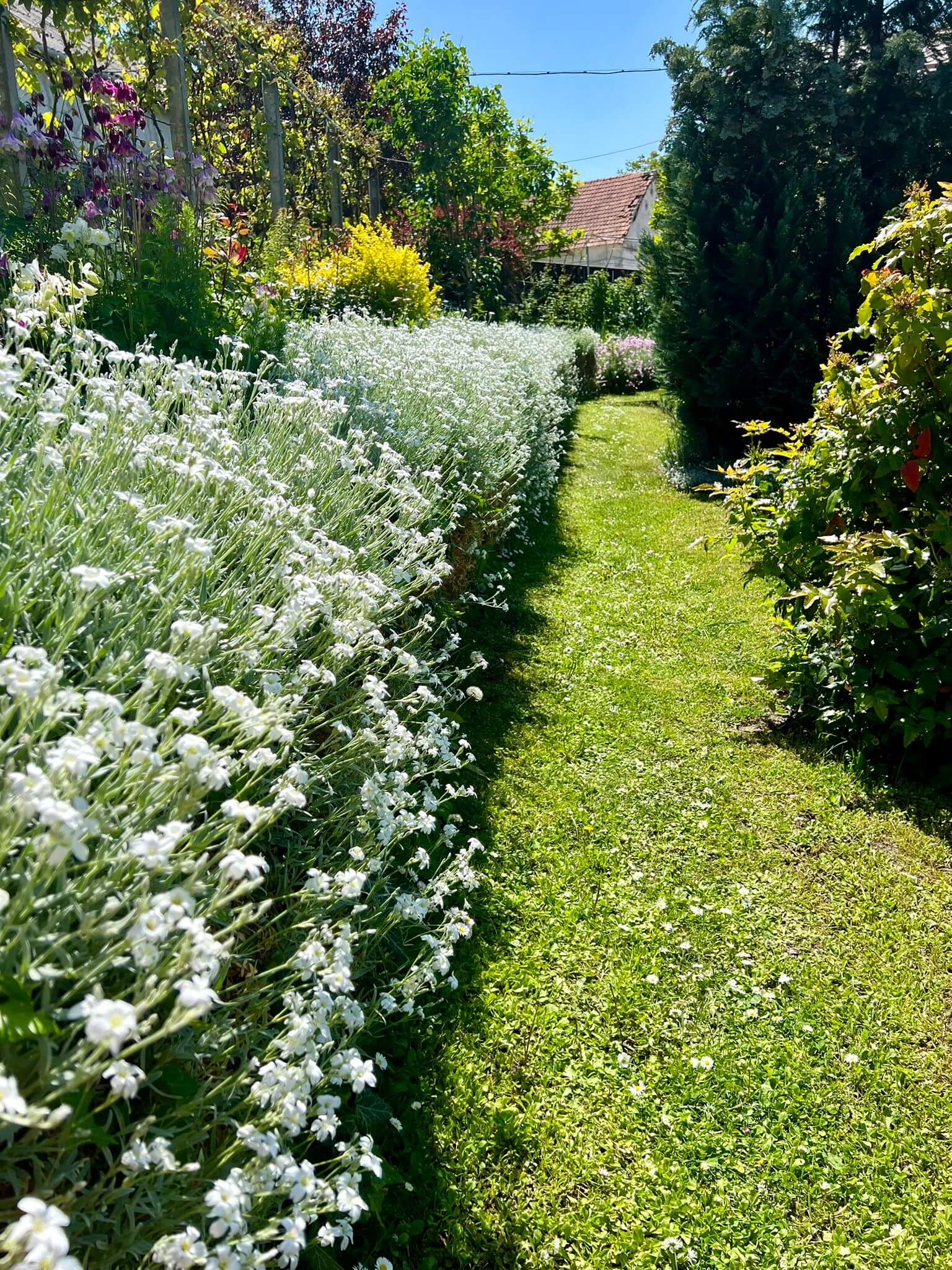 WhatsApp Image 2025-11-13 at 12.38.53 (7)